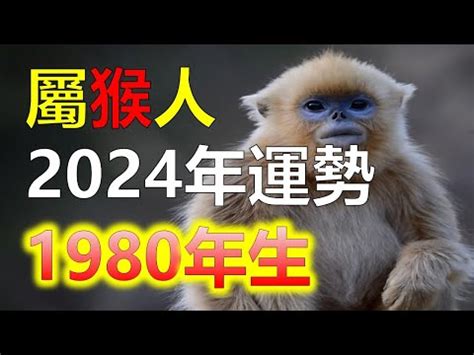 屬猴方位|【屬猴方位】屬猴方位指南：提升運勢的最佳住宅方位大公開！